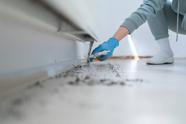 Best Affordable Pest Control Services  in Strathmore, NJ